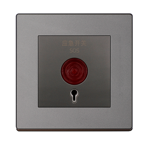 应急开关-拷贝.png