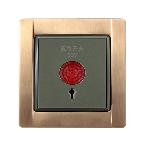 19.应急开关.png
