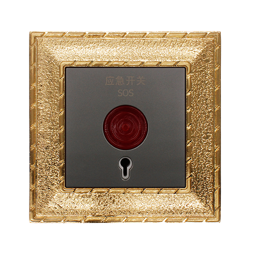 19.应急开关-拷贝.png